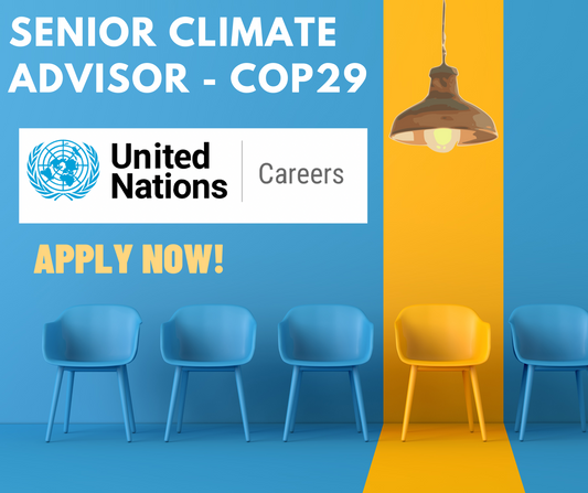 Senior Climate Advisor COP29, COP24 Baku, Azerbaijan jobs, United Nations job advert