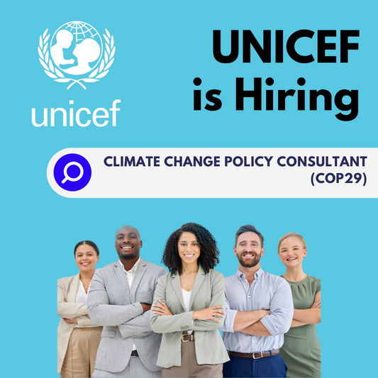 UNICEF Vacancy: Climate Change Policy Consultant (COP29), advertised by VCareer.org