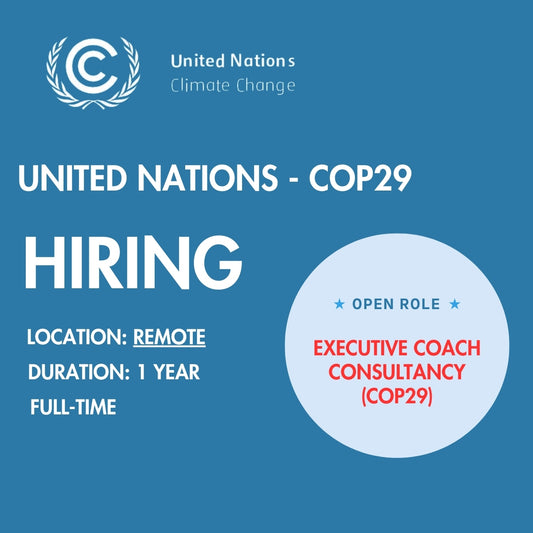 Executive Coach Consultancy (COP29)
