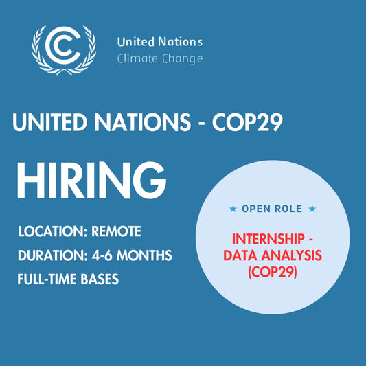 United Nations - COP29 Internship posted for Data Analyst internship role. 